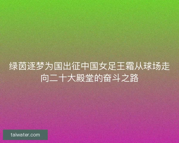 绿茵逐梦为国出征中国女足王霜从球场走向二十大殿堂的奋斗之路