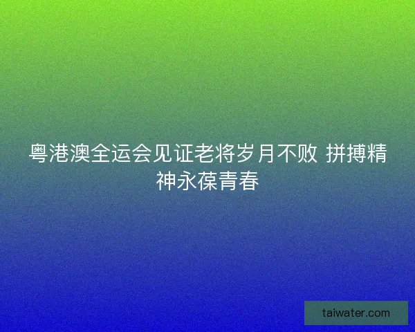 粤港澳全运会见证老将岁月不败 拼搏精神永葆青春